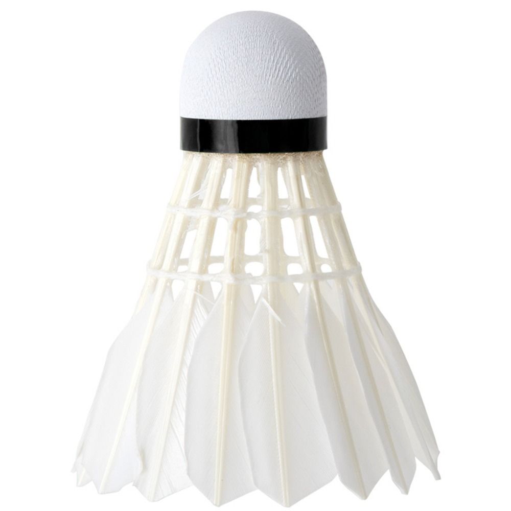 3/6/12 Stück Neue Weiße Badmin – Feather Shuttlecock Bewertung und Preis